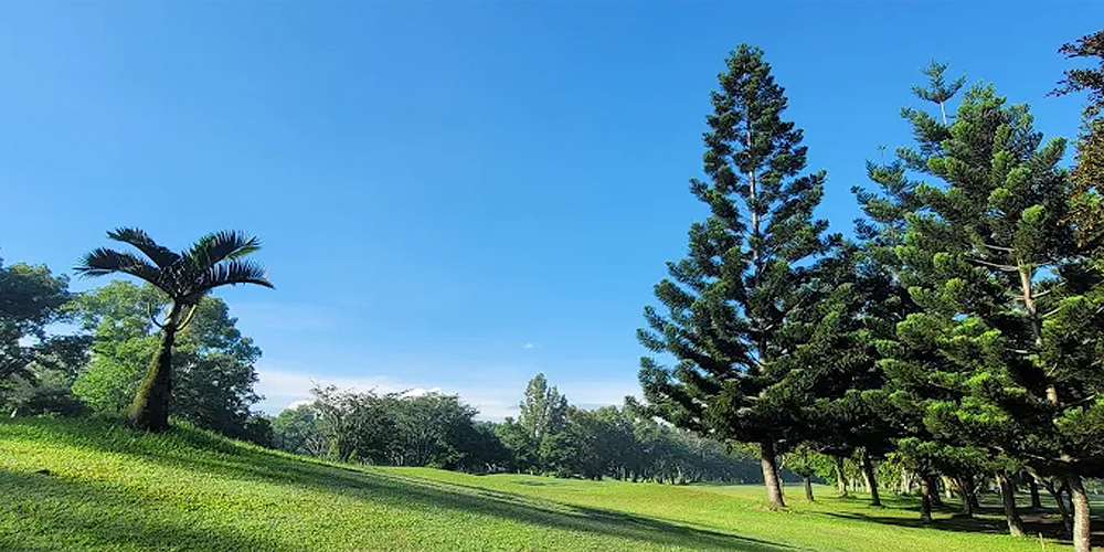 FCN Golf & Leisure